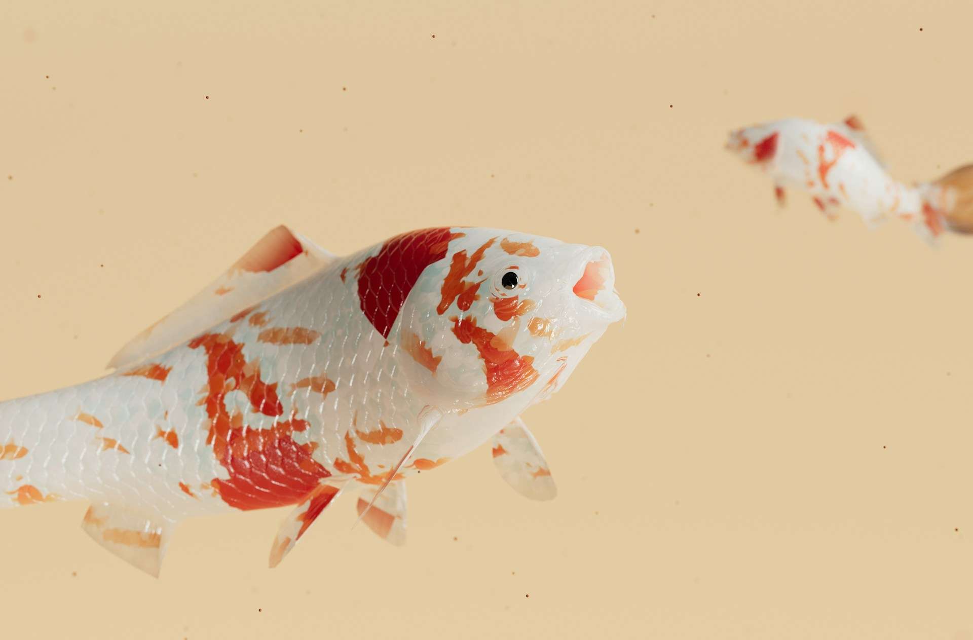 Fish Logo Brand Clothing: Making a Statement in Casual Fashion