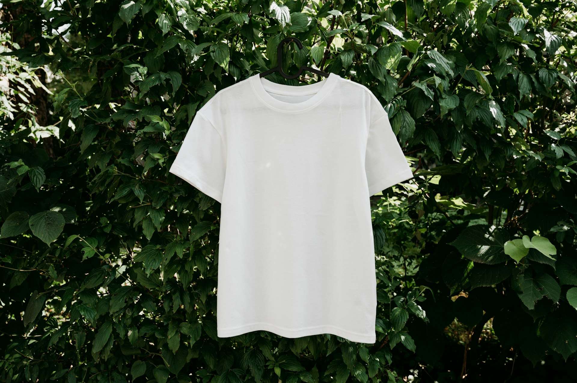How to Print Pictures on a T-Shirt in Washington State: A Step-by-Step Guide