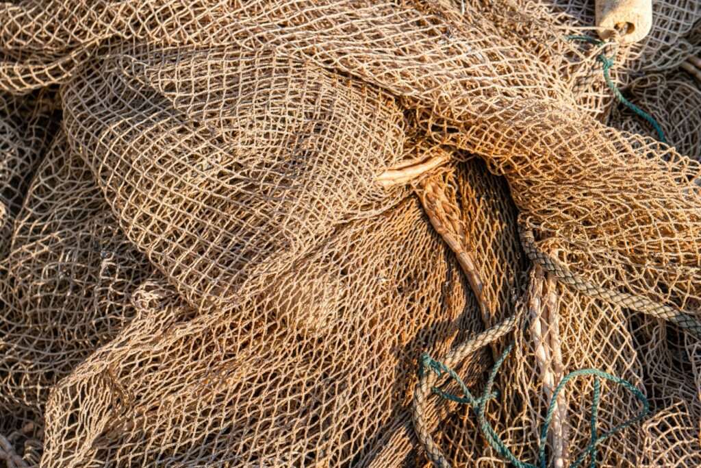 A fishing net